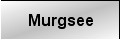 Wanderung Murgsee 26. Juni 2004